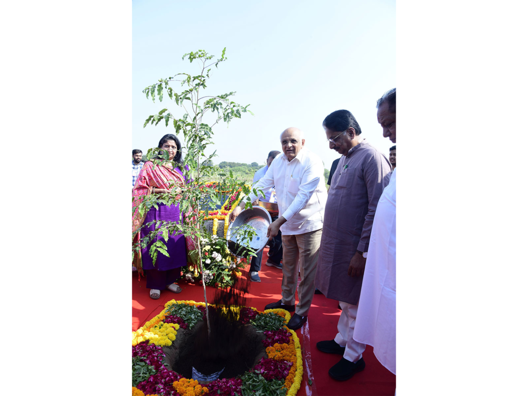 amc plants 5 million trees