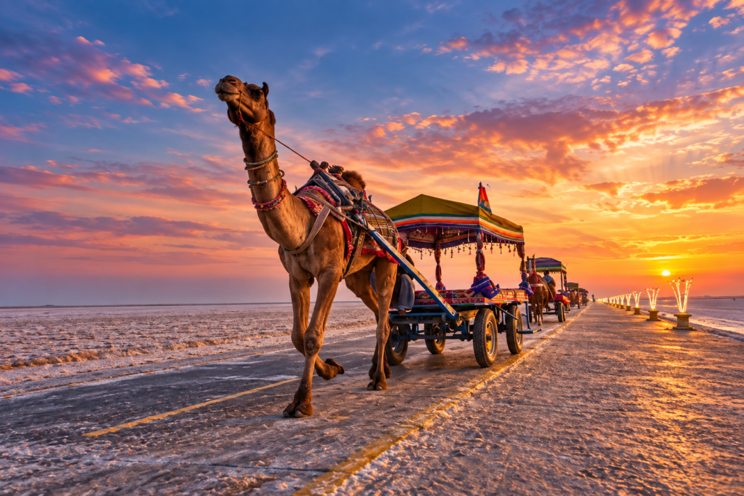 rann utsav 2027